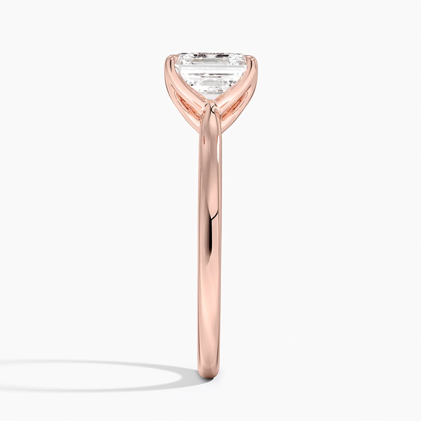 Elodie Cathedral Solitaire Ring in Platinum