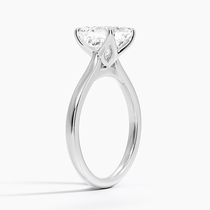 Elodie Cathedral Solitaire Ring in Platinum