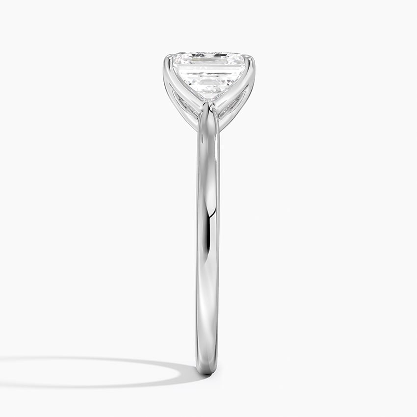 Elodie Cathedral Solitaire Ring in Platinum