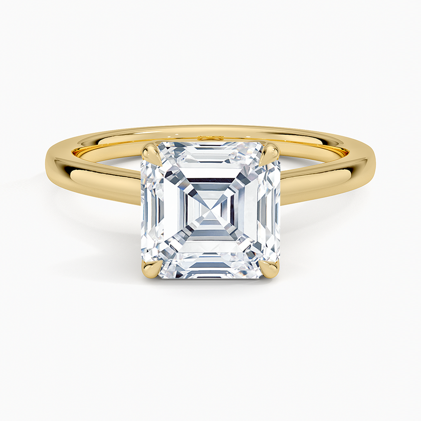 Elodie Cathedral Solitaire Ring in Platinum