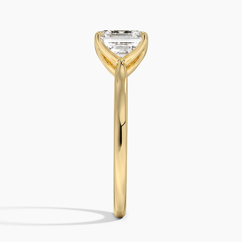 Elodie Cathedral Solitaire Ring in Platinum