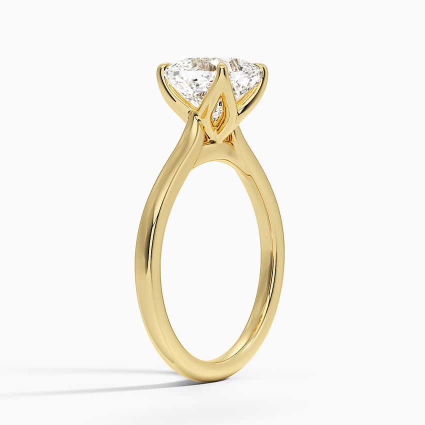 Elodie Cathedral Solitaire Ring in Platinum