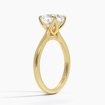 Elodie Cathedral Solitaire Ring in Platinum