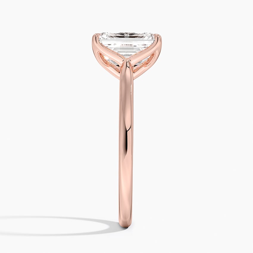 Elodie Cathedral Solitaire Ring in Platinum