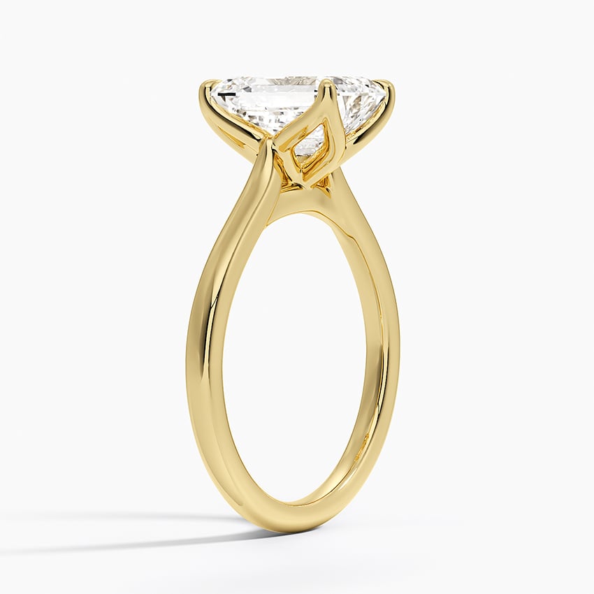 Elodie Cathedral Solitaire Ring in Platinum