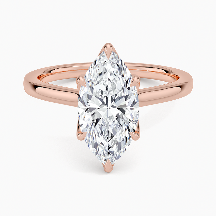 Elodie Cathedral Solitaire Ring in Platinum