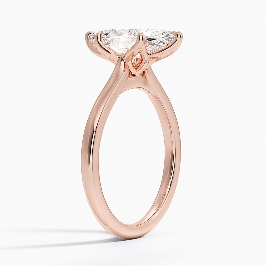 Elodie Cathedral Solitaire Ring in Platinum