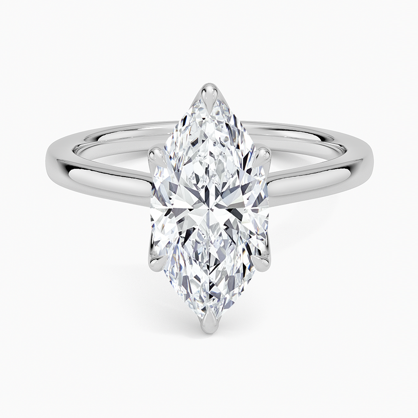 Elodie Cathedral Solitaire Ring in Platinum
