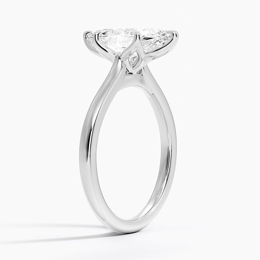 Elodie Cathedral Solitaire Ring in Platinum