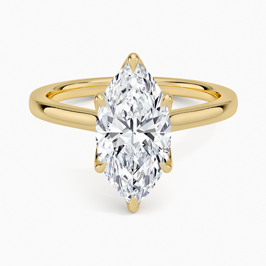 Elodie Cathedral Solitaire Ring in Platinum