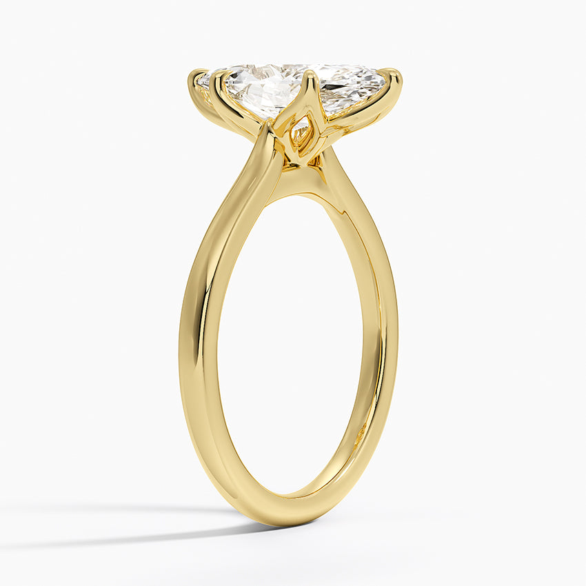 Elodie Cathedral Solitaire Ring in Platinum