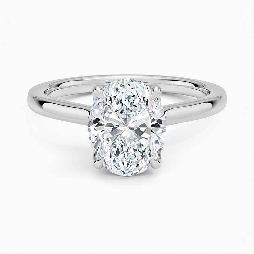 Elodie Cathedral Solitaire Ring in Platinum