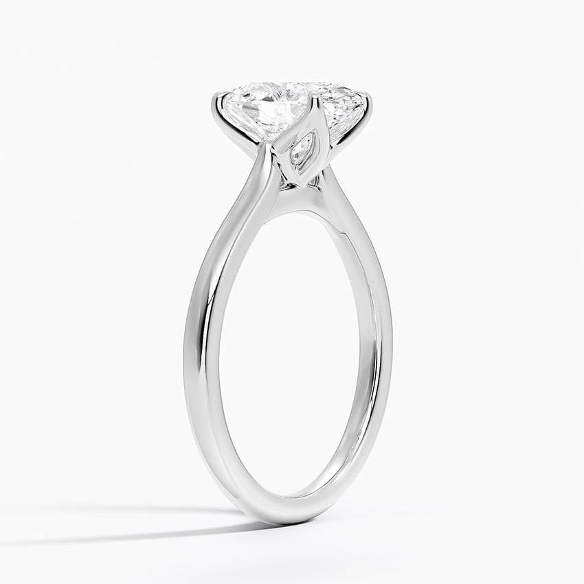 Elodie Cathedral Solitaire Ring in Platinum