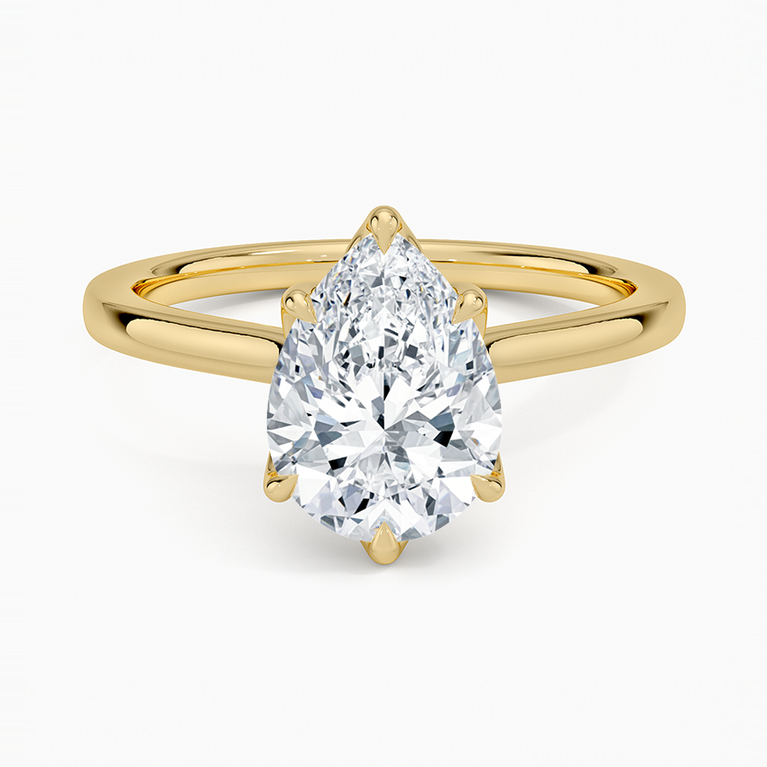 Elodie Cathedral Solitaire Ring in Platinum