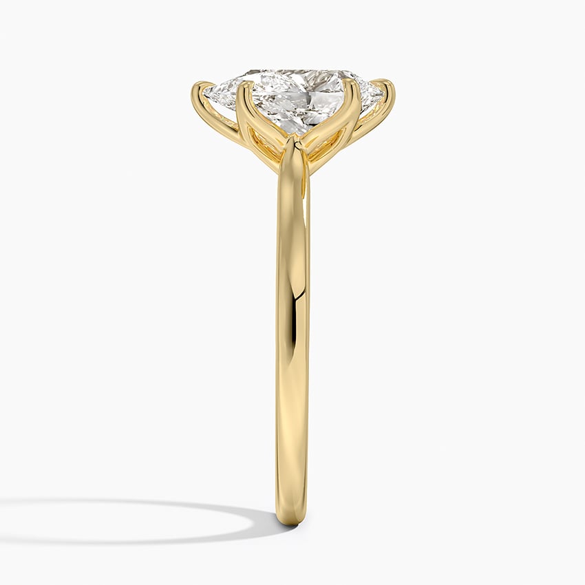 Elodie Cathedral Solitaire Ring in Platinum