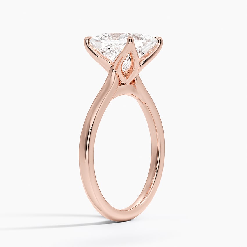 Elodie Cathedral Solitaire Ring in Platinum