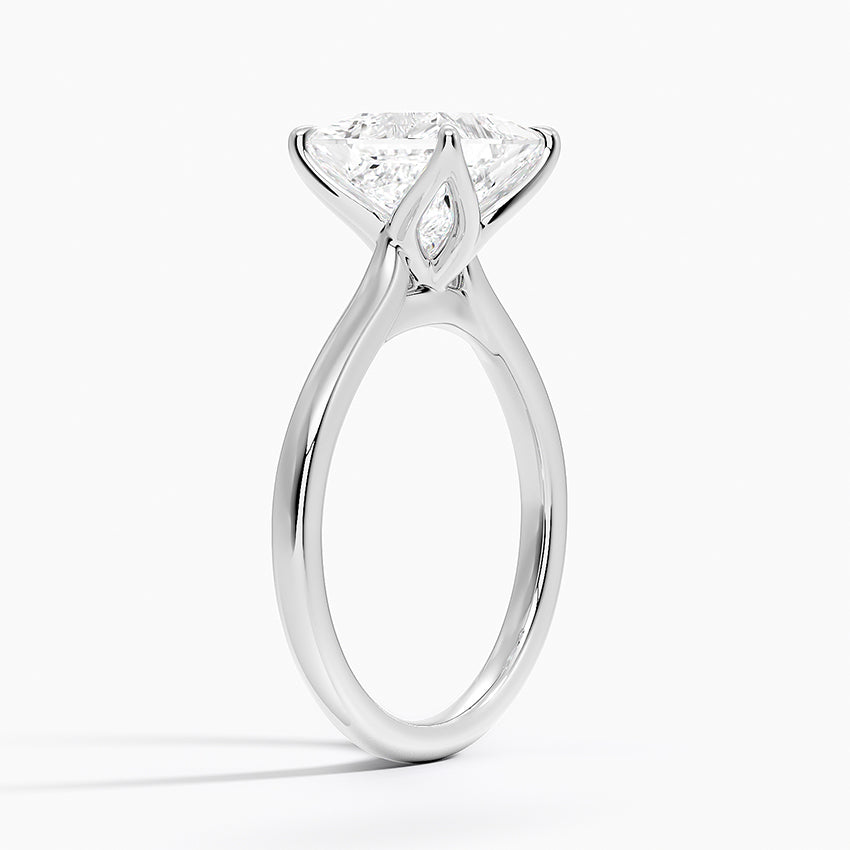 Elodie Cathedral Solitaire Ring in Platinum