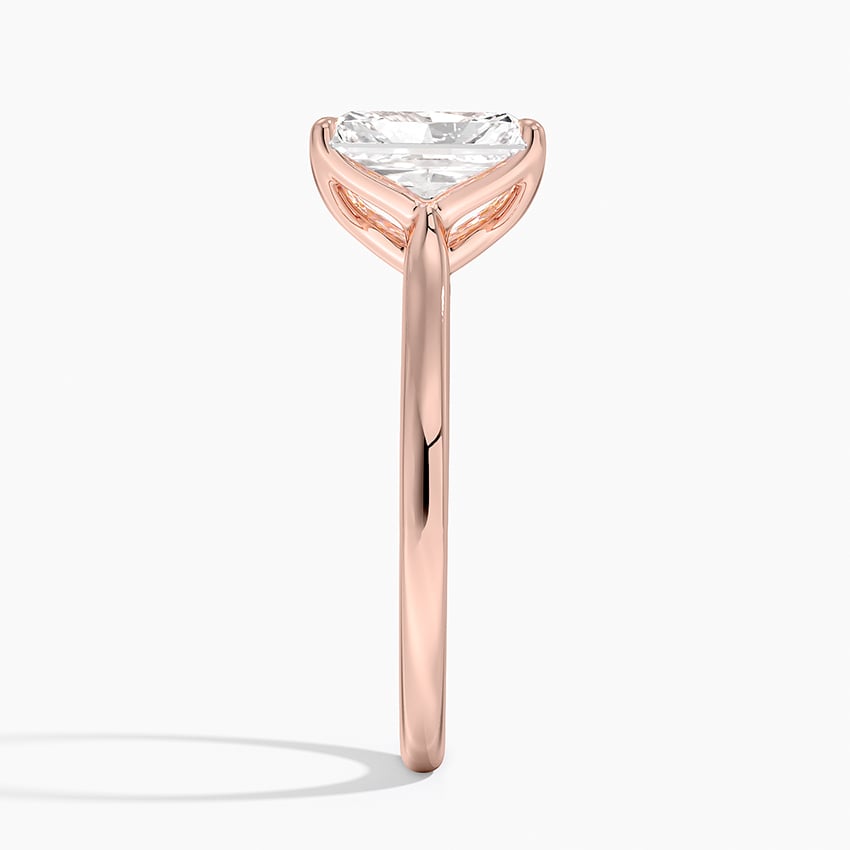 Elodie Cathedral Solitaire Ring in Platinum