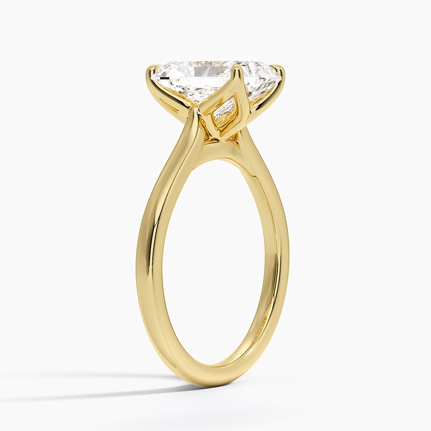 Elodie Cathedral Solitaire Ring in Platinum