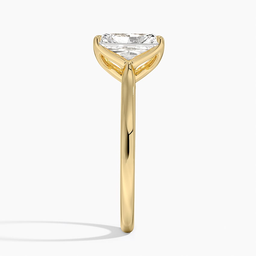 Elodie Cathedral Solitaire Ring in Platinum